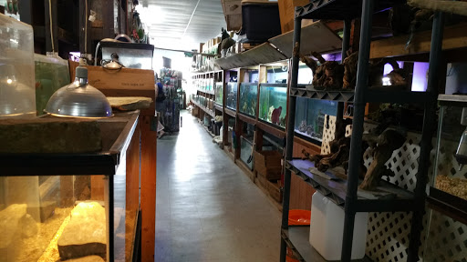 Pet Store «Island Pet Shop», reviews and photos, 55 Goodwin Dr # 102, Merritt Island, FL 32952, USA