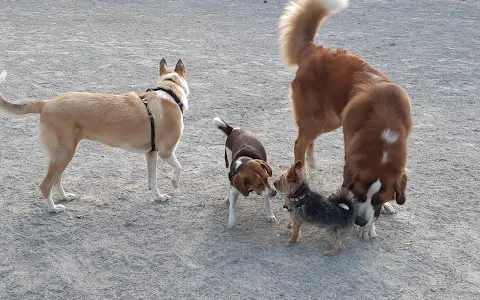 Sylvia Holden Dog Park image