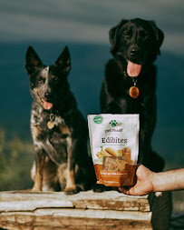 491 - Photo 7 - Car repair in Lake Charles, LA, Lake Charles