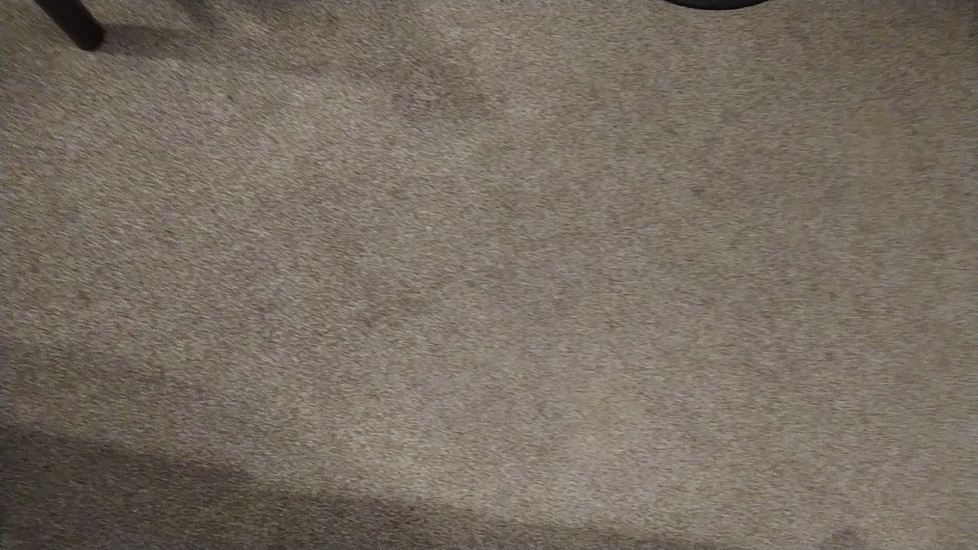 Photo n° 2 de l'avis de Chacha.u fait le 26/10/2020 à 17:36