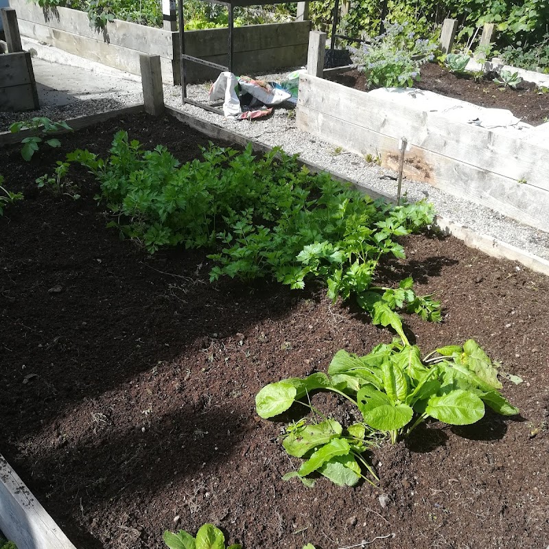 University of Galway Organic Garden