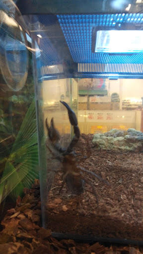 Pet Supply Store «PetSmart», reviews and photos, 934 W Street Rd, Warminster, PA 18974, USA