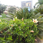 Photo n°10 de l'avis de Griglia.i fait le 10/09/2017 à 09:53 sur le  Hotel su Sergenti à Villasimius