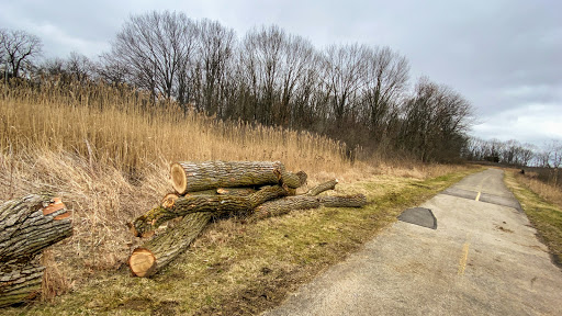 Nature Preserve «Shoe Factory Road Prairie Nature Preserve», reviews and photos, Shoe Factory Rd, Hoffman Estates, IL 60192, USA
