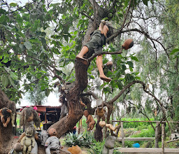 Island of the Dolls photo