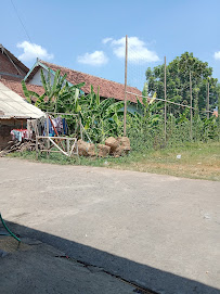 Foto SD  Negeri Jali 1, Kabupaten Demak