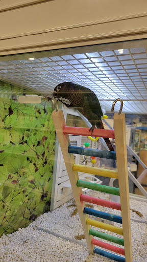 Pet Supply Store «PetSmart», reviews and photos, 225 Robert C Daniel Jr Pkwy, Augusta, GA 30909, USA