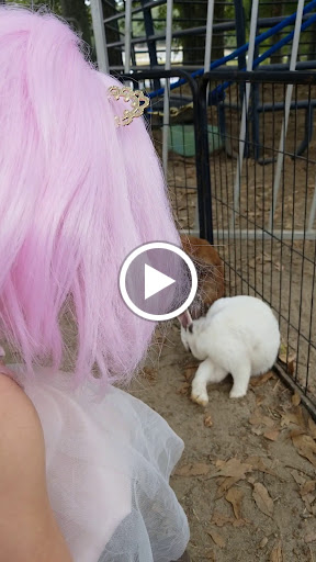 Tourist Attraction «Mitcham Farm», reviews and photos, 797 W Macedonia Church Rd, Oxford, GA 30054, USA