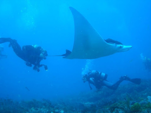 Dive Shop «Dive Shop Kissimmee», reviews and photos, 4916 W Irlo Bronson Memorial Hwy, Kissimmee, FL 34746, USA