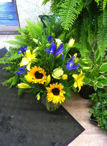 Florist «McCandless Floral», reviews and photos, 8105 Perry Hwy, Pittsburgh, PA 15237, USA