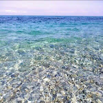 Photo n°5 de l'avis de Gino.i fait le 16/04/2023 à 16:05 sur le  Riviera Calabra à Zambrone