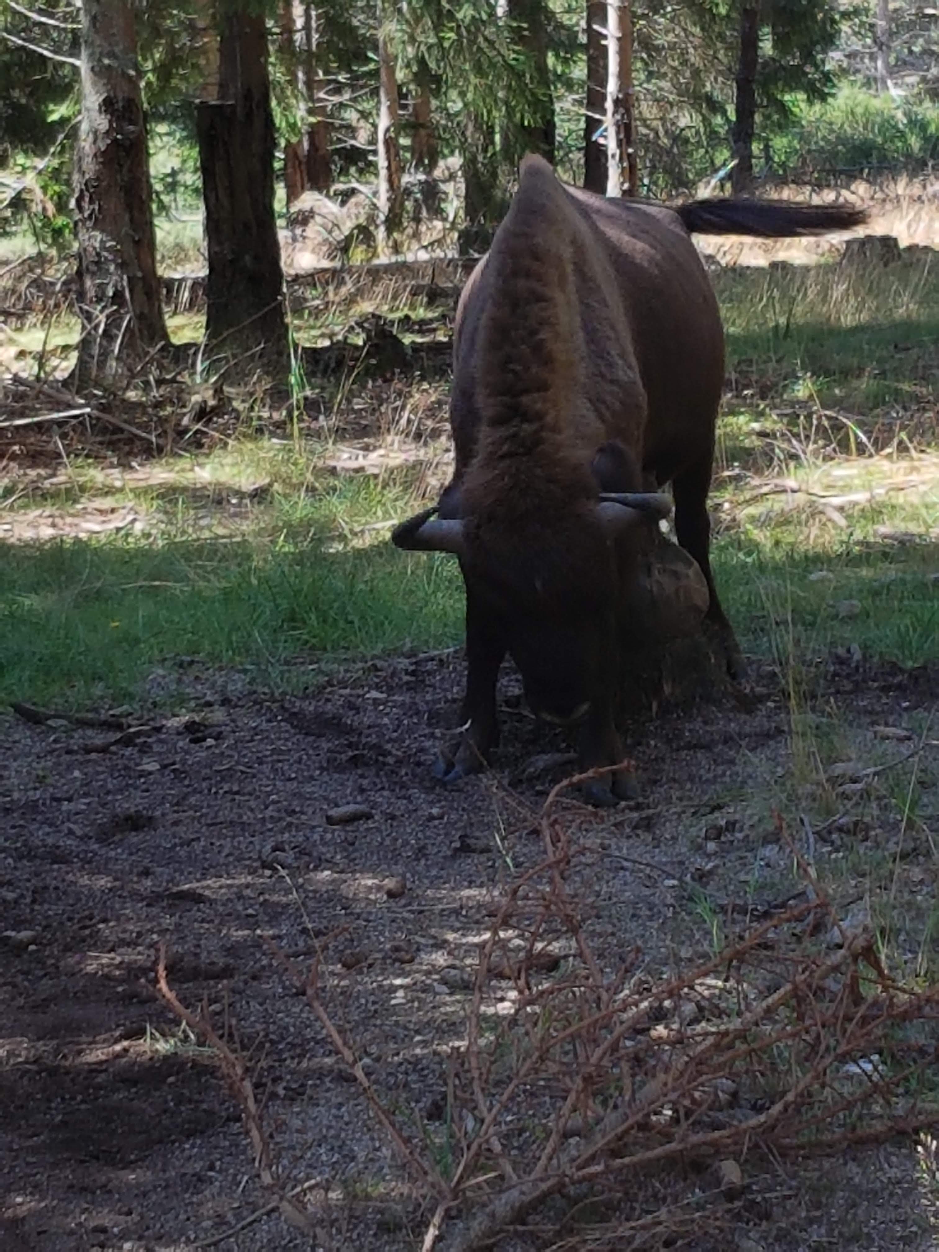 Photo n° 2 de l'avis de Paul.R fait le 17/08/2018 à 14:46