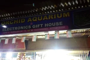 Orchid Aquarium & gift house image