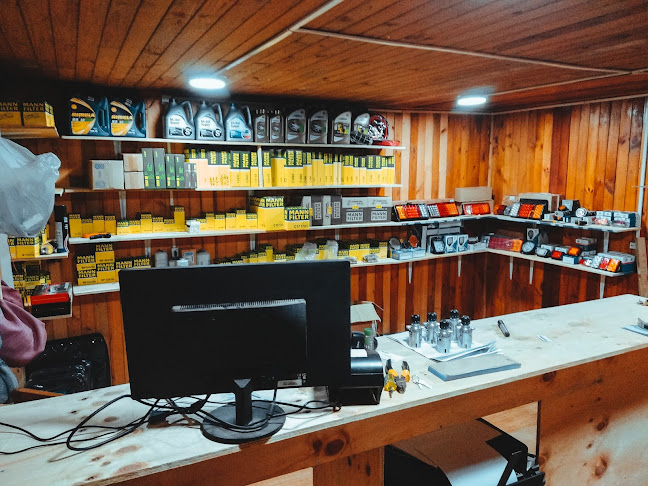 REPUESTOS AUTO ALTO SpA