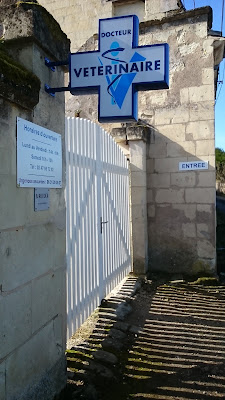 Cabinet Vétérinaire de La Trochoire, Dr Boris Rocour à Couziers