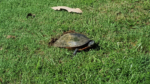 Golf Course «Eisenhower Golf Course», reviews and photos, 1576 Generals Hwy, Crownsville, MD 21032, USA