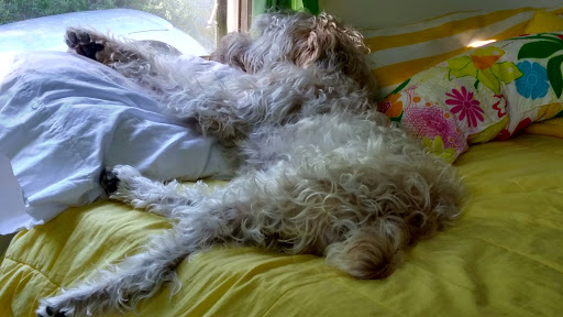 Furniture Store «Raymour & Flanigan Furniture and Mattress Store», reviews and photos, 756 Vassar Rd, Poughkeepsie, NY 12603, USA