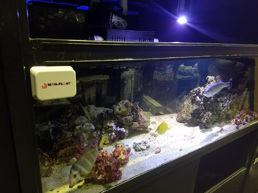 Tropical Fish Store «Picasso Exotic Aquatics», reviews and photos, 11560 Ash St, Leawood, KS 66211, USA