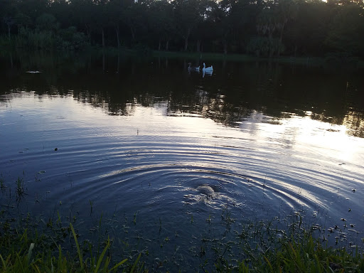 Park «Easterlin Park», reviews and photos, 1000 NW 38th St, Oakland Park, FL 33309, USA