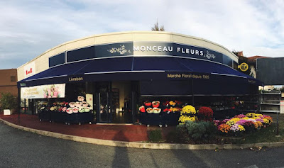 Monceau Fleurs à Vichy
