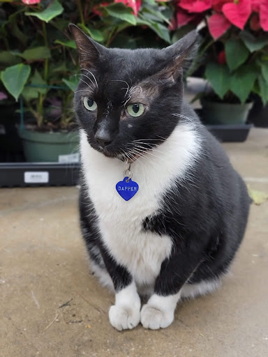 Hardware Store «Canton Ace Hardware», reviews and photos, 1022 Binney St, Baltimore, MD 21224, USA