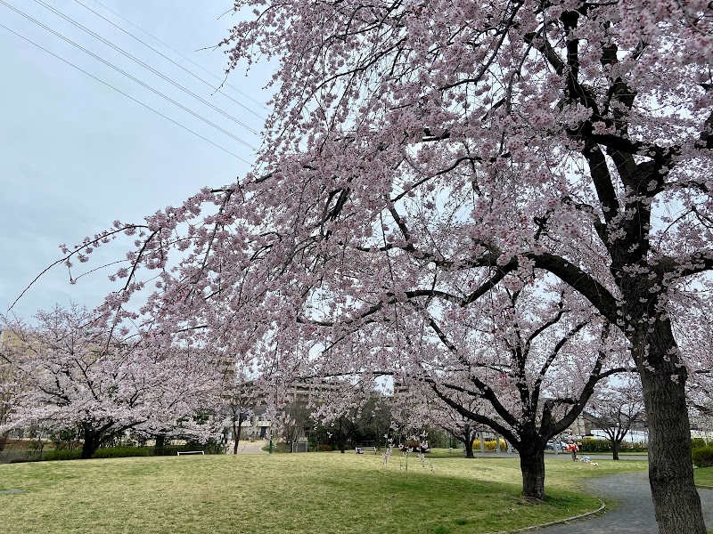 四谷さくら公園