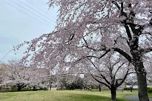 Yotsuya Sakura Park image