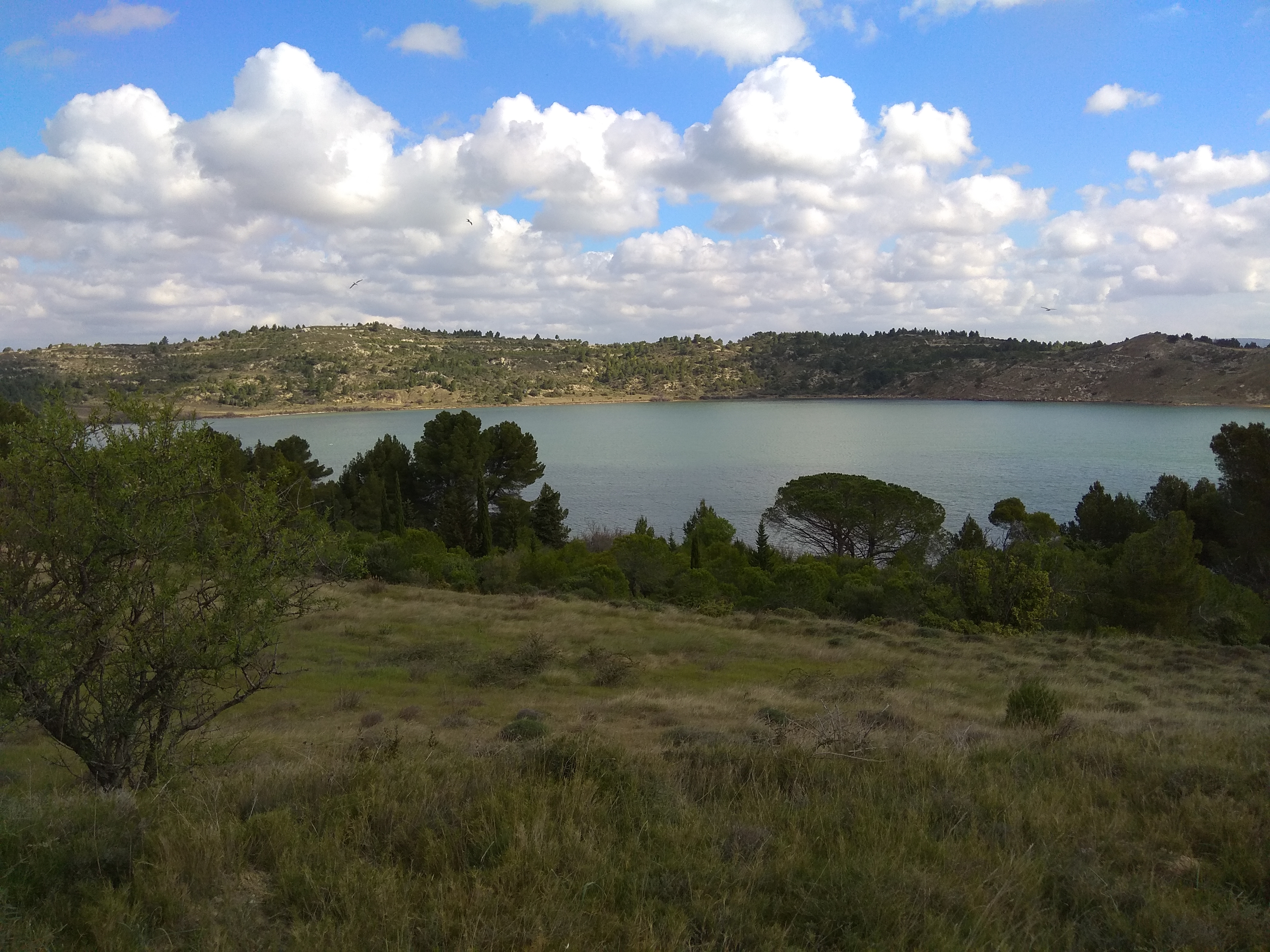 Photo n° 4 de l'avis de Vasco.i fait le 30/03/2019 à 09:56