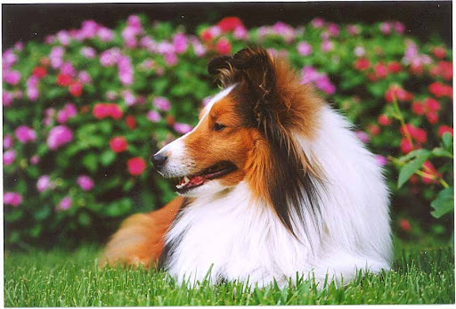 3172 Dixie Hwy, Edgewood, KY 41018, USA