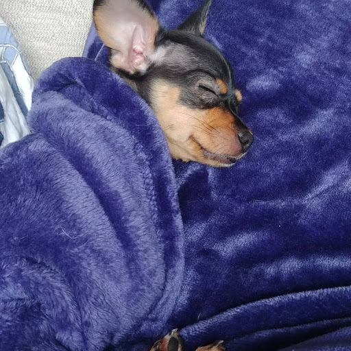 Hair Salon «Cathedral Park Salon», reviews and photos, Cathedral Park Salon, 7227 N Philadelphia Ave #103, Portland, OR 97203, USA