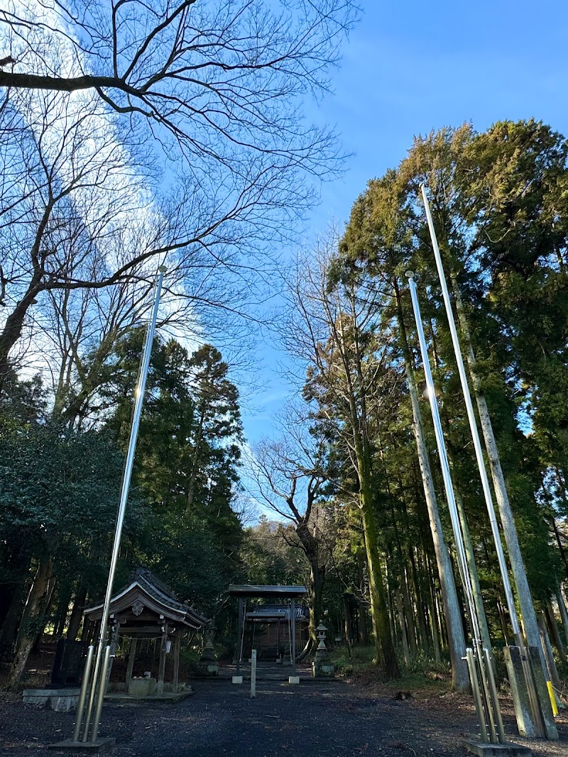 石畑大桑神社のケヤキ (養老町指定天然記念物)
