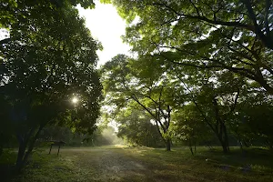 Bosque Protector Cerro Blanco image