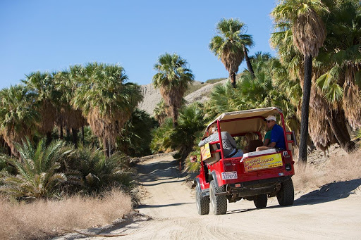 Tourist Attraction «Desert Adventures», reviews and photos, 74794 Lennon Pl, Palm Desert, CA 92260, USA