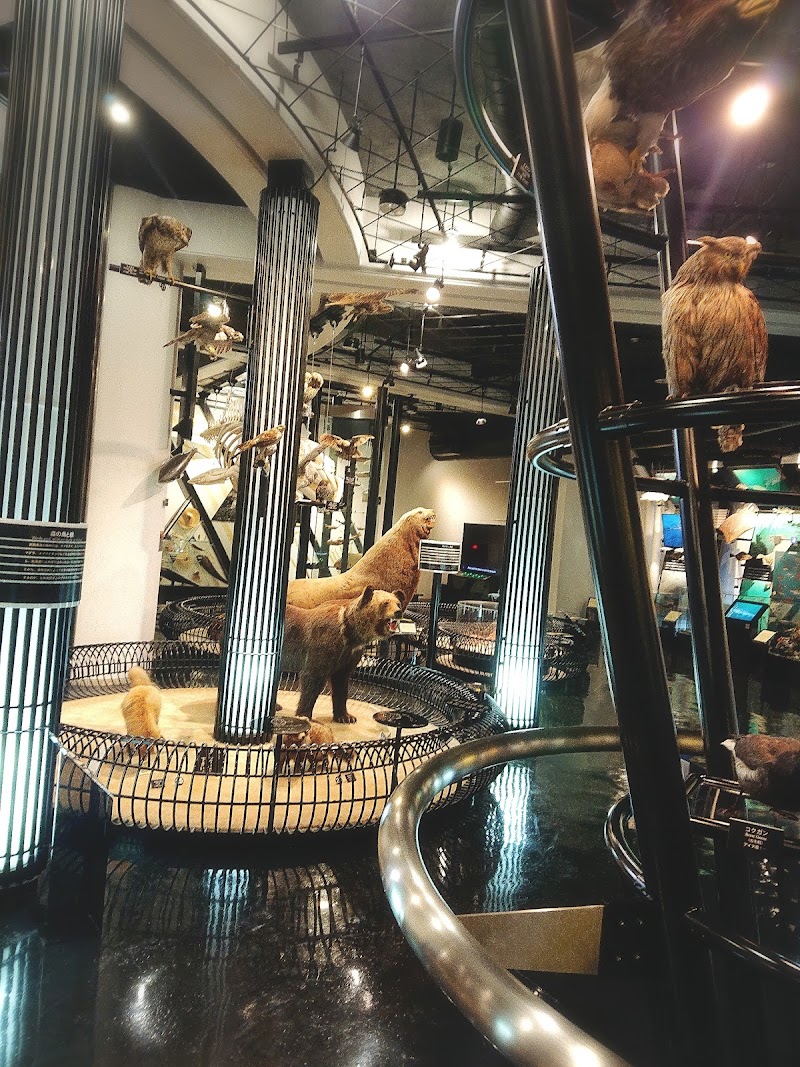 釧路市立博物館 北海道釧路市春湖台 博物館 美術館 博物館 グルコミ