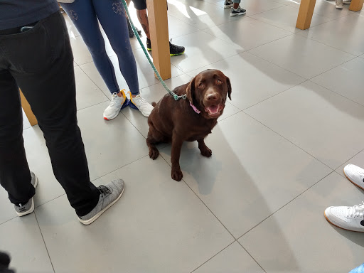 Computer Store «Apple Third Street Promenade», reviews and photos, 1415 3rd Street Promenade, Santa Monica, CA 90401, USA