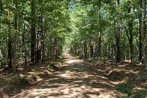Cumberland State Forest image