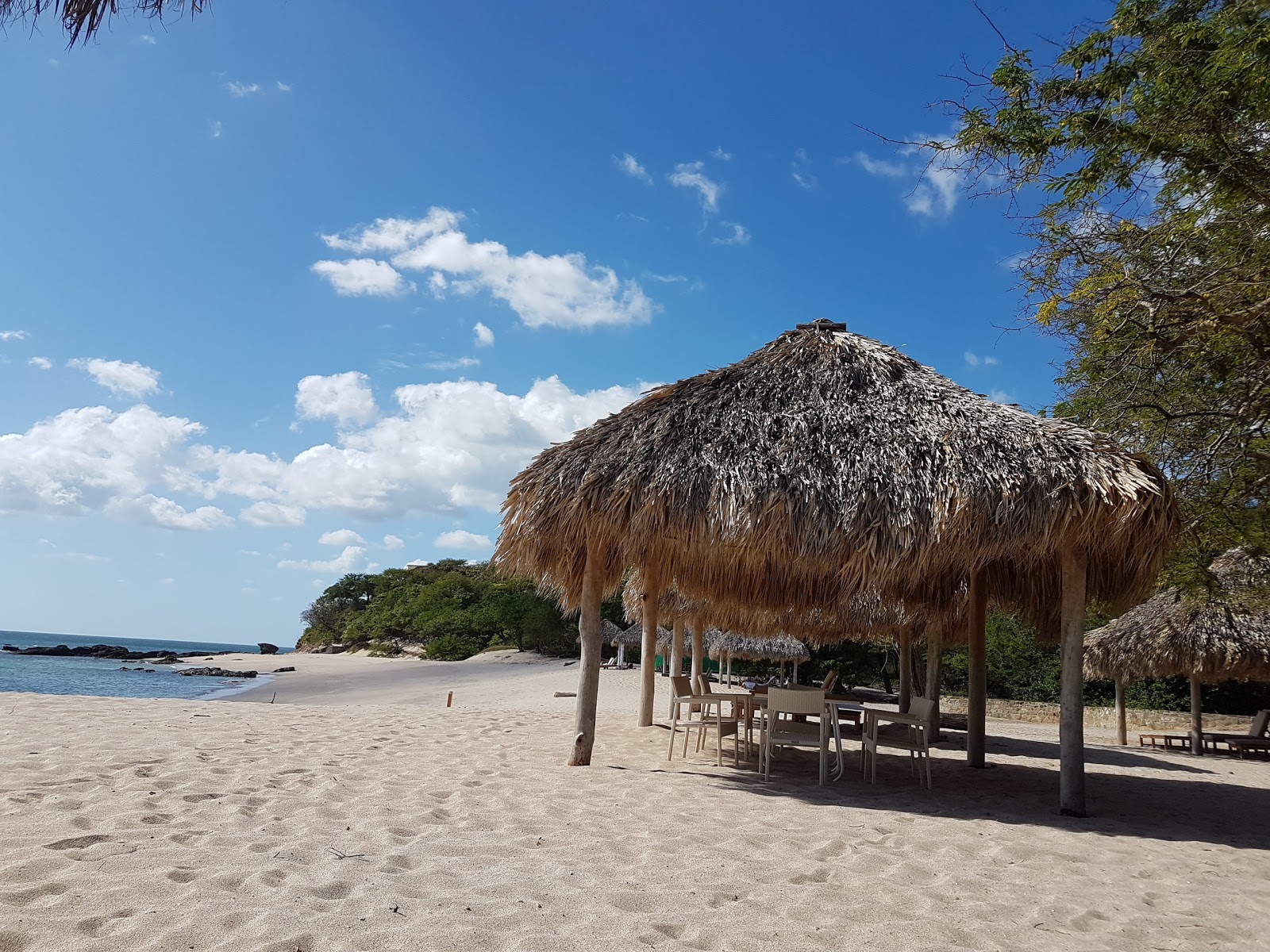 Foto af Manzanillo Strand med høj niveau af renlighed