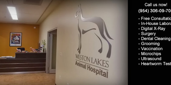 Weston Lakes Animal Hospital