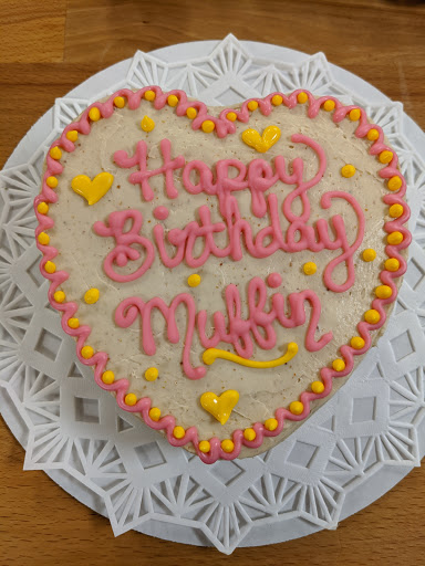 Pet Supply Store «For Pets Sake», reviews and photos, 2576 Montgomery Hwy # 6, Dothan, AL 36303, USA