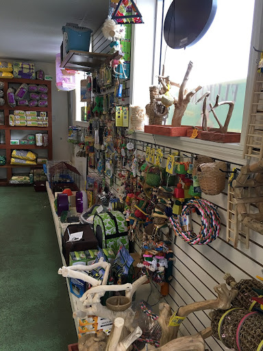 Pet Store «Pets World», reviews and photos, 147 Bridge St, Weymouth, MA 02191, USA