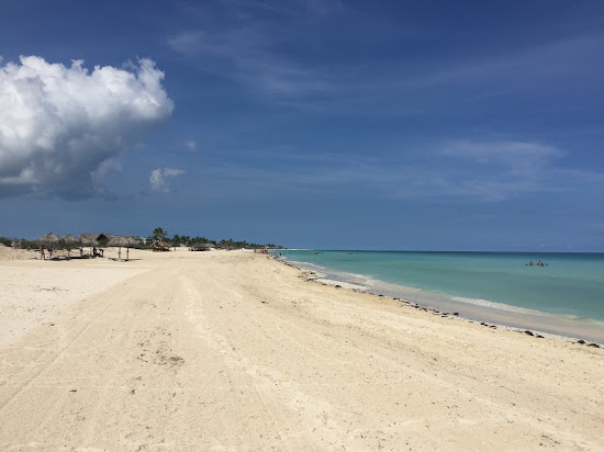 Playa Mojito