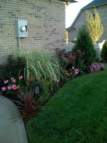 Comentarii opinii despre El Cisne