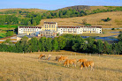 Fleurs d'Aubrac de Laguiole Laguiole