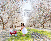 Alyssa Gil Photography - Photo 4 - Car repair in Bakersfield, CA, Bakersfield