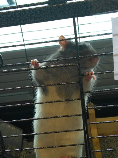 Pet Supply Store «Pet Partners», reviews and photos, 1962 W State St, Bristol, TN 37620, USA