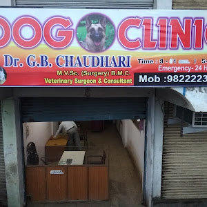 The Dog Clinic photo