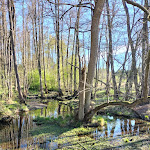 Photo n°2 de l'avis de Michael.r fait le 18/10/2022 à 16:10 sur le  Dalheimer Mühle à Wegberg