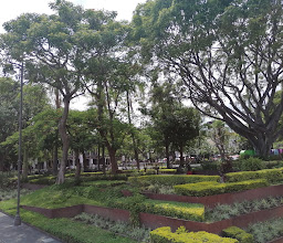 CRI-CRI Park photo
