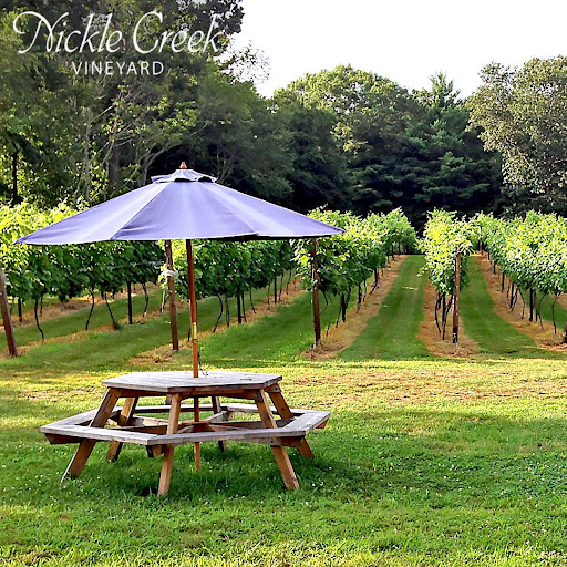 Vineyard «Nickle Creek Vineyard», reviews and photos, 12 King Rd, Foster, RI 02825, USA