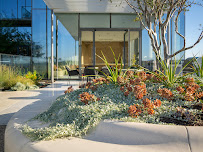 Strata Landscape - Photo 2 - Car repair in Austin, TX, Austin